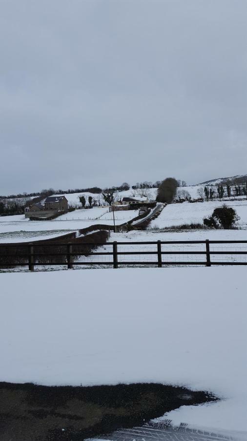 Holly Cottage Mayobridge Newry Exteriör bild