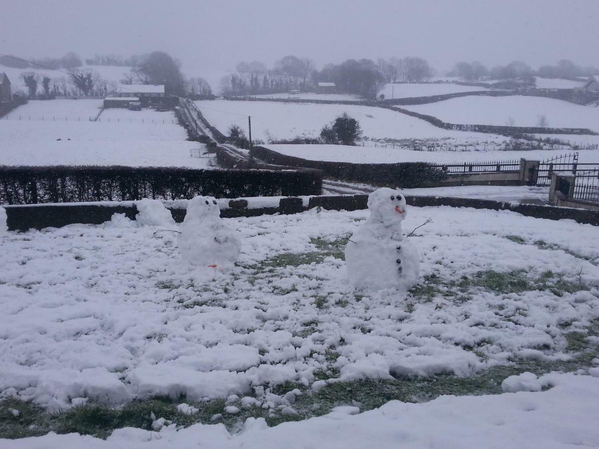 Holly Cottage Mayobridge Newry Exteriör bild