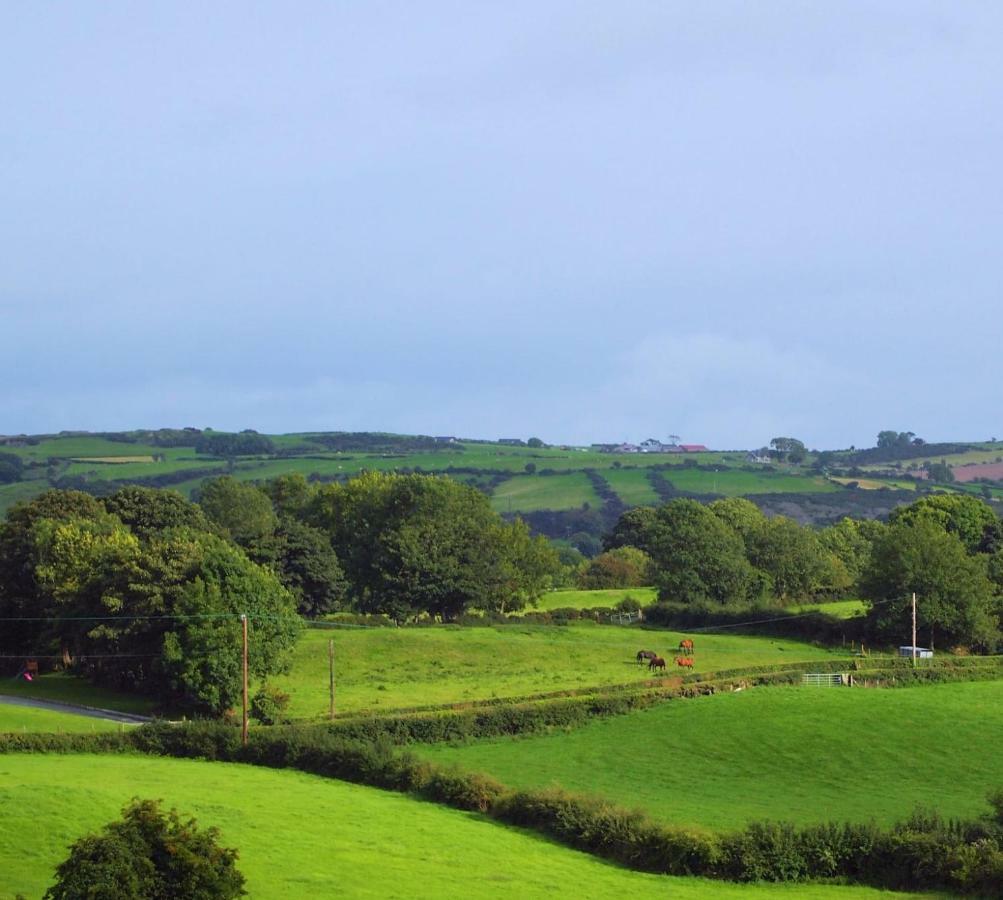 Holly Cottage Mayobridge Newry Exteriör bild